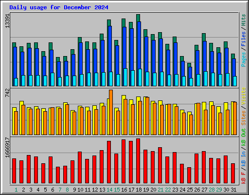 Daily usage for December 2024