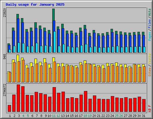 Daily usage for January 2025