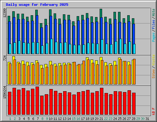 Daily usage for February 2025