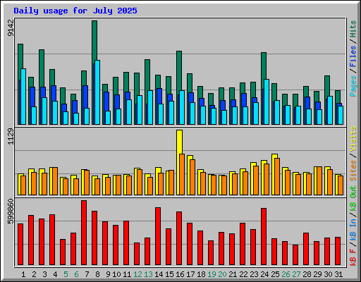 Daily usage for July 2025