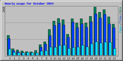 Hourly usage for October 2024