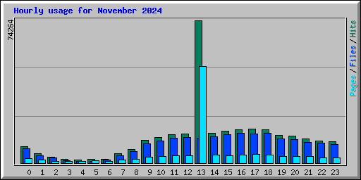 Hourly usage for November 2024