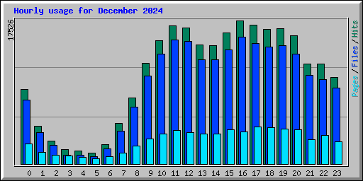Hourly usage for December 2024
