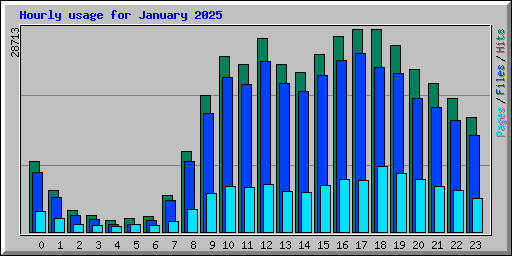 Hourly usage for January 2025