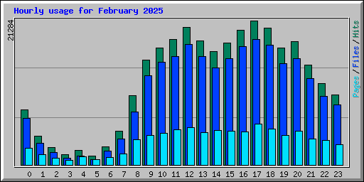 Hourly usage for February 2025