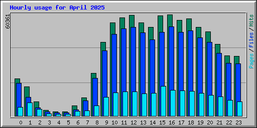 Hourly usage for April 2025