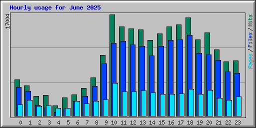 Hourly usage for June 2025