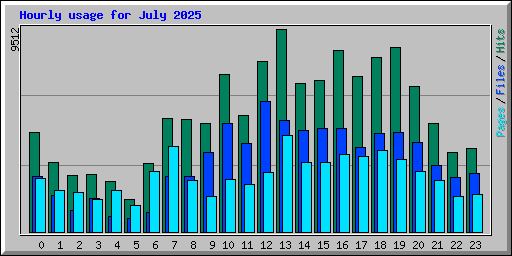 Hourly usage for July 2025