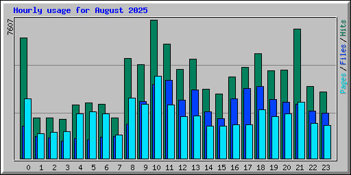 Hourly usage for August 2025