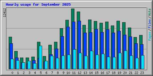 Hourly usage for September 2025