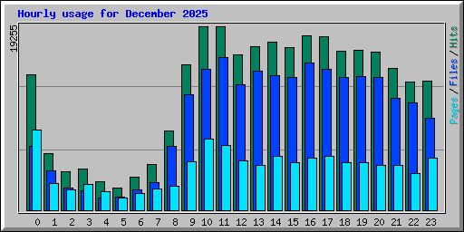 Hourly usage for December 2025