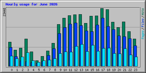 Hourly usage for June 2026
